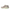 Asics Novablast 6 1012C008  -54122