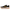 Brooks Divide 6 110460   -53801