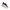 Hoka Bondi 9 W K160001162012   -53837